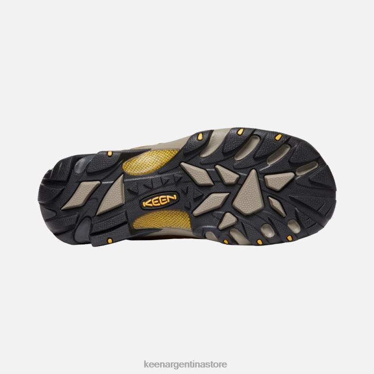 LZZND498 cascada marrón-amarillo dorado Keen targhee ii impermeable ancho
