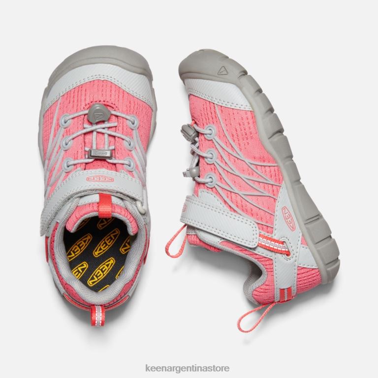 LZZND586 llovizna-dubarry Keen pequeño 'chandler cnx