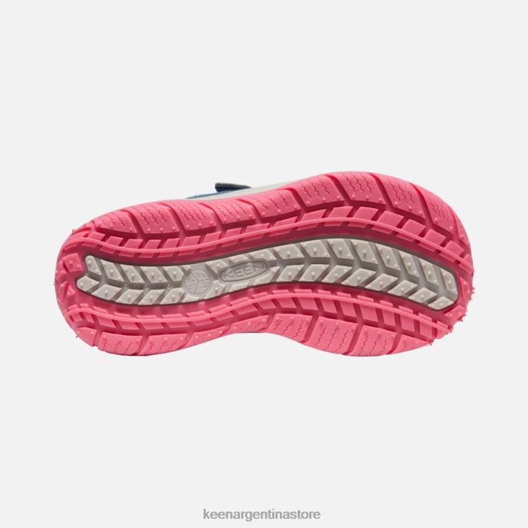 LZZND542 paloma de fruta de ala azul Keen gran 'perro veloz'