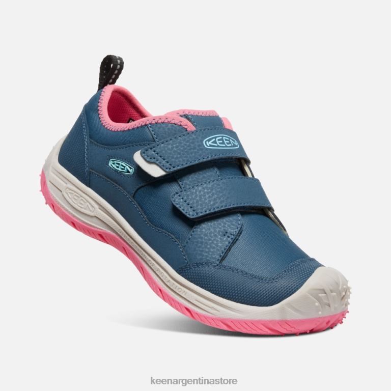 LZZND542 paloma de fruta de ala azul Keen gran 'perro veloz'