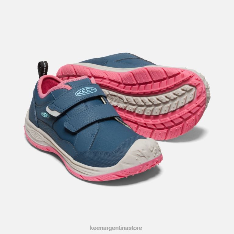 LZZND542 paloma de fruta de ala azul Keen gran 'perro veloz'