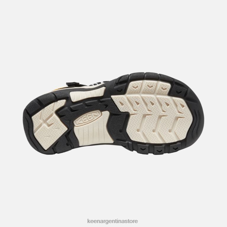 LZZND551 cajeros automáticos estrella cebra Keen grande 'newport h2