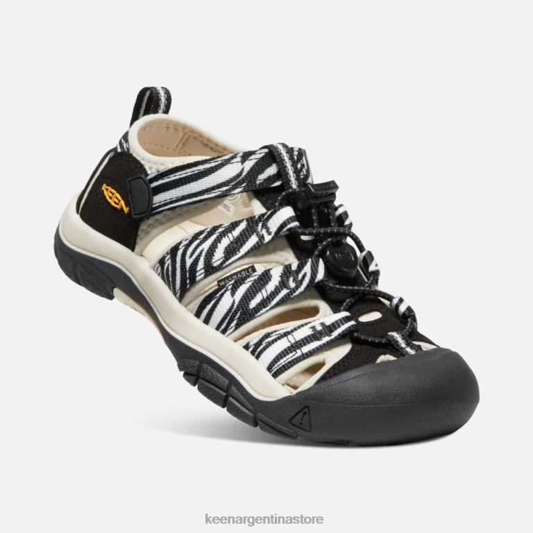 LZZND551 cajeros automáticos estrella cebra Keen grande 'newport h2