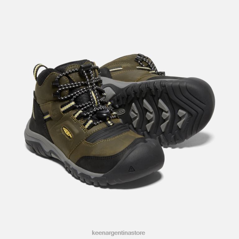 LZZND580 cidra oscura oliva oscura Keen Bota impermeable Big 'Ridge Flex