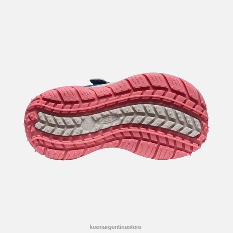 LZZND544 paloma de fruta de ala azul Keen pequeño 'perro veloz'