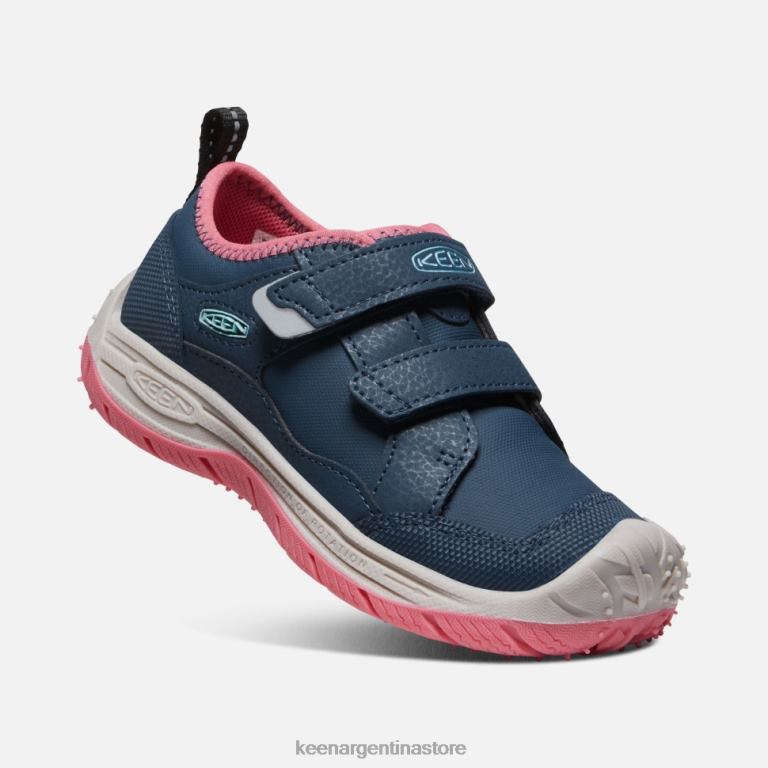 LZZND544 paloma de fruta de ala azul Keen pequeño 'perro veloz'