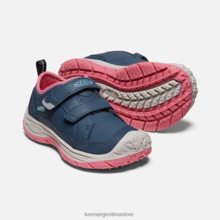 LZZND544 paloma de fruta de ala azul Keen pequeño 'perro veloz'