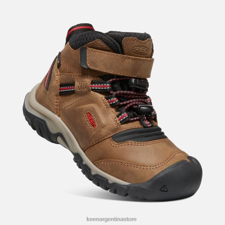 LZZND609 alfombra roja de bisonte Keen bota impermeable little 'ridge flex
