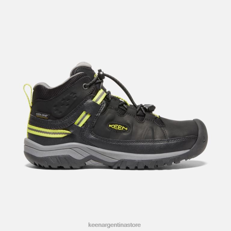 LZZND270 negro-gris acero Keen botas de montaña impermeables targhee más antiguas