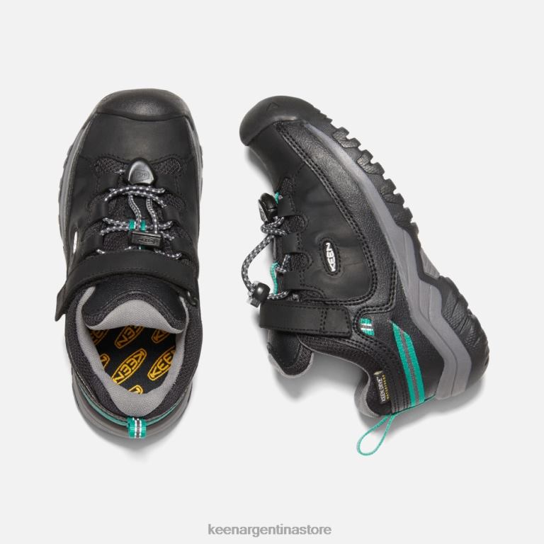 LZZND273 blanco-estrella negra Keen zapatos de senderismo impermeables targhee para jóvenes