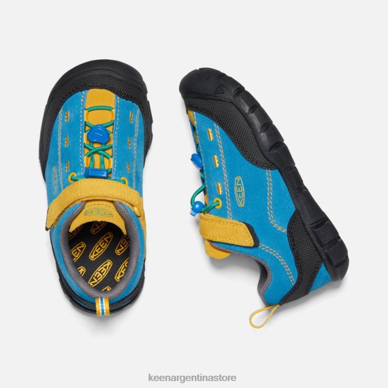 LZZND19 vara azul-dorada brillante Keen más joven 'jasper ii